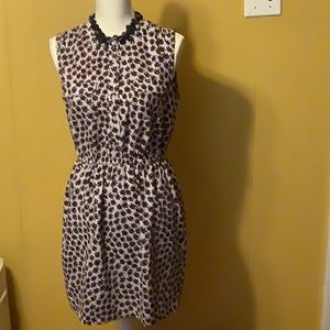 Loft sleeveless dress